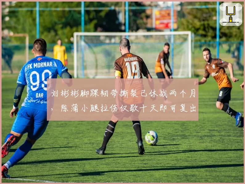 刘彬彬脚踝韧带撕裂已休战两个月，陈蒲小腿拉伤仅歇十天即可复出，泰山边路伤病时长对比鲜明