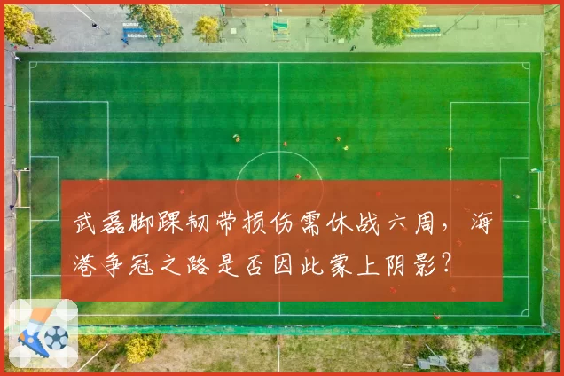 武磊脚踝韧带损伤需休战六周,海港争冠之路是否因此蒙上阴影?