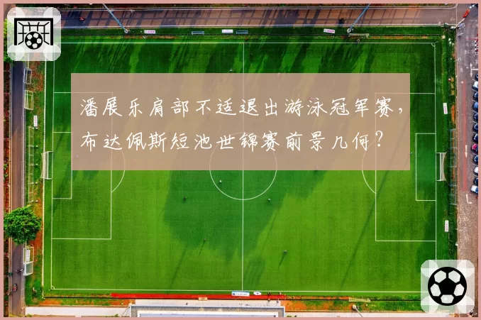潘展乐肩部不适退出游泳冠军赛，布达佩斯短池世锦赛前景几何？