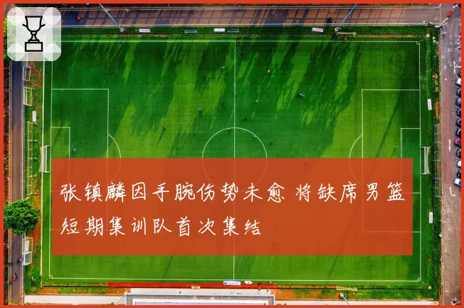 张镇麟因手腕伤势未愈 将缺席男篮短期集训队首次集结