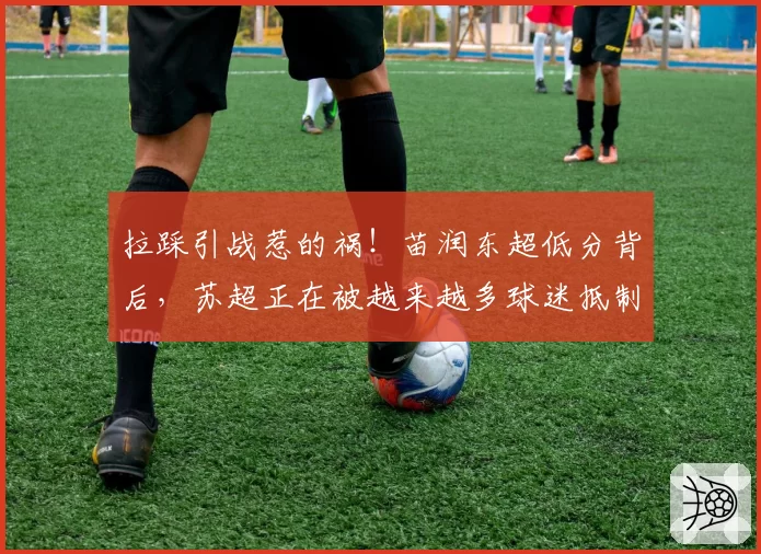 拉踩引战惹的祸!苗润东超低分背后,苏超正在被越来越多球迷抵制